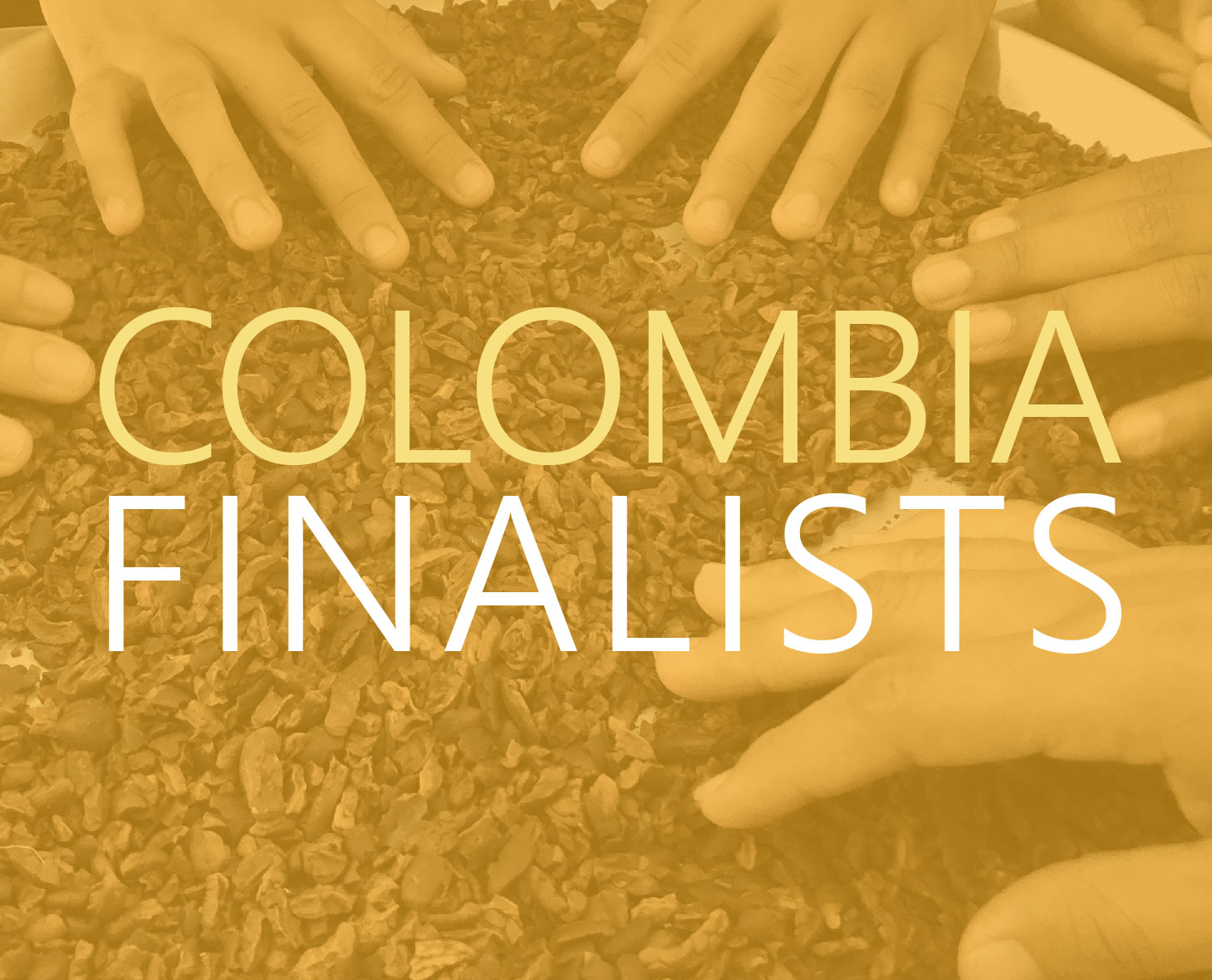 Colombia finalists hands-teaser